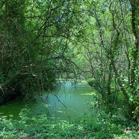 Hébergement de vacances La Petite Maison Zone Coulée Verte Menant A L'océan Saint-Gilles-Croix-de-Vie