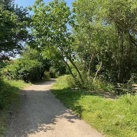 La Petite Maison Zone Coulée Verte Menant A L'océan Hébergement de vacances