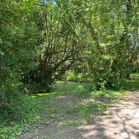 La Petite Maison Zone Coulée Verte Menant A L'océan