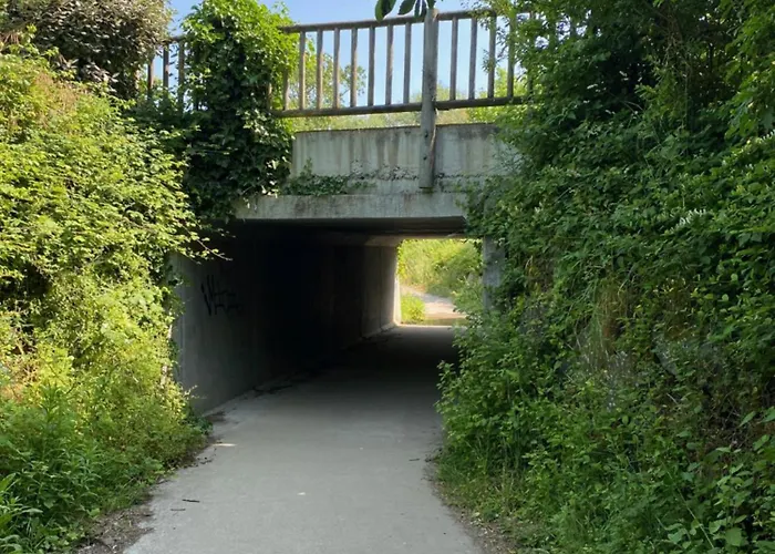 La Petite Maison Zone Coulee Verte Menant A L'ocean * Saint-Gilles-Croix-de-Vie