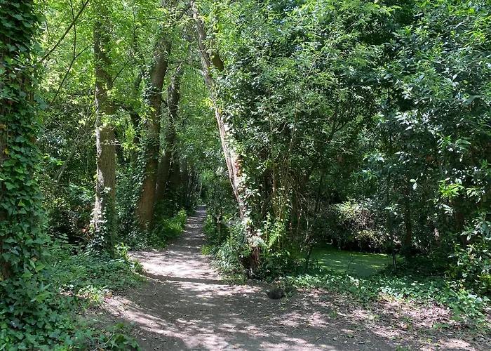 La Petite Maison Zone Coulee Verte Menant A L'ocean * Saint-Gilles-Croix-de-Vie