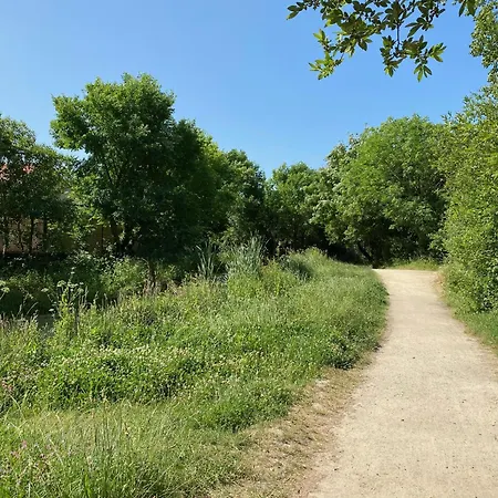 בית נופש La Petite Maison Zone Coulee Verte Menant A L'ocean סן-ז'יל-קרואה-דה-וי