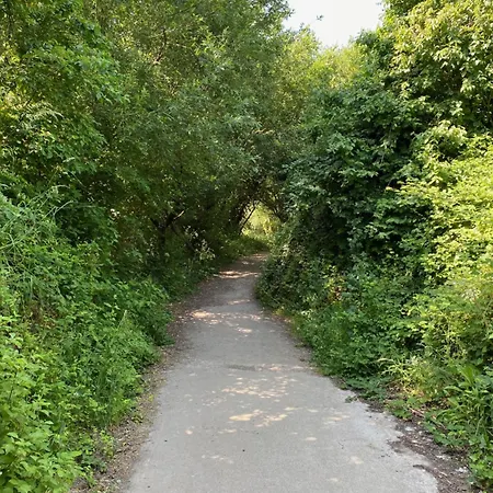 La Petite Maison Zone Coulee Verte Menant A L'ocean בית נופש סן-ז'יל-קרואה-דה-וי