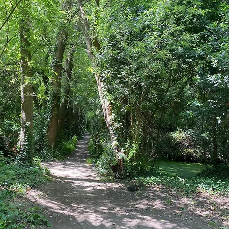 La Petite Maison Zone Coulee Verte Menant A L'ocean * סן-ז'יל-קרואה-דה-וי