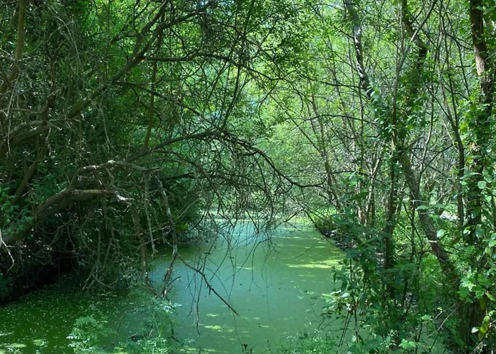 بيت للعطل La Petite Maison Zone Coulee Verte Menant A L'ocean سانت جيل كروا دي فيي