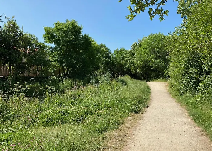 بيت للعطل La Petite Maison Zone Coulee Verte Menant A L'ocean سانت جيل كروا دي فيي