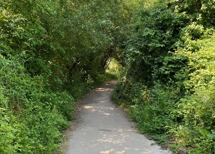 La Petite Maison Zone Coulee Verte Menant A L'ocean بيت للعطل سانت جيل كروا دي فيي