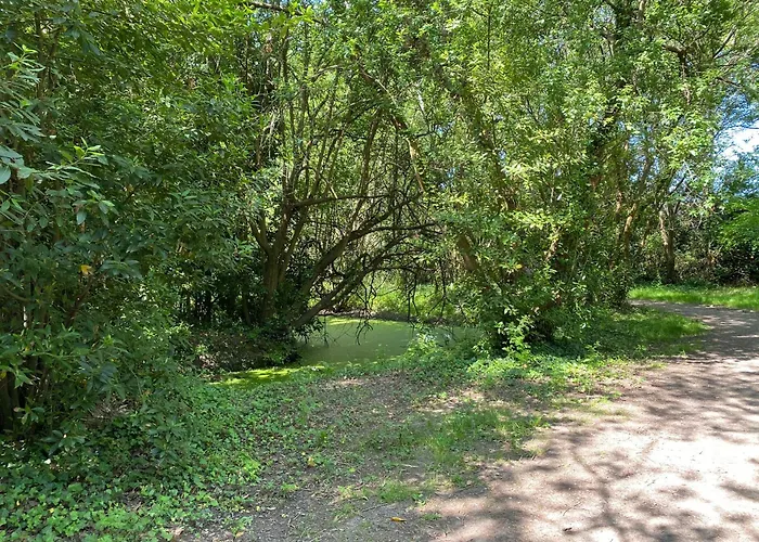 La Petite Maison Zone Coulee Verte Menant A L'ocean